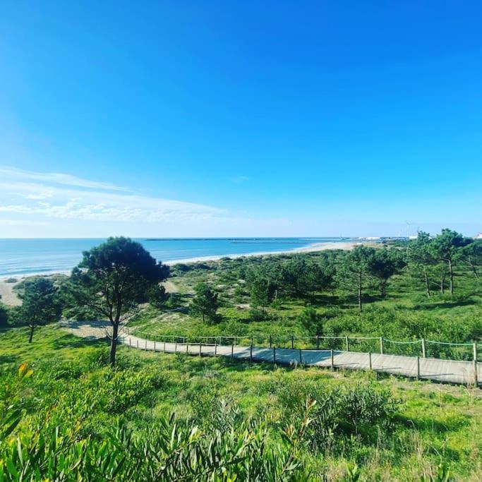 Cabedelo Beach Flat Viana do Castelo Eksteriør bilde